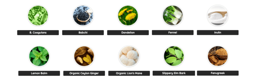 PrimeBiome Review